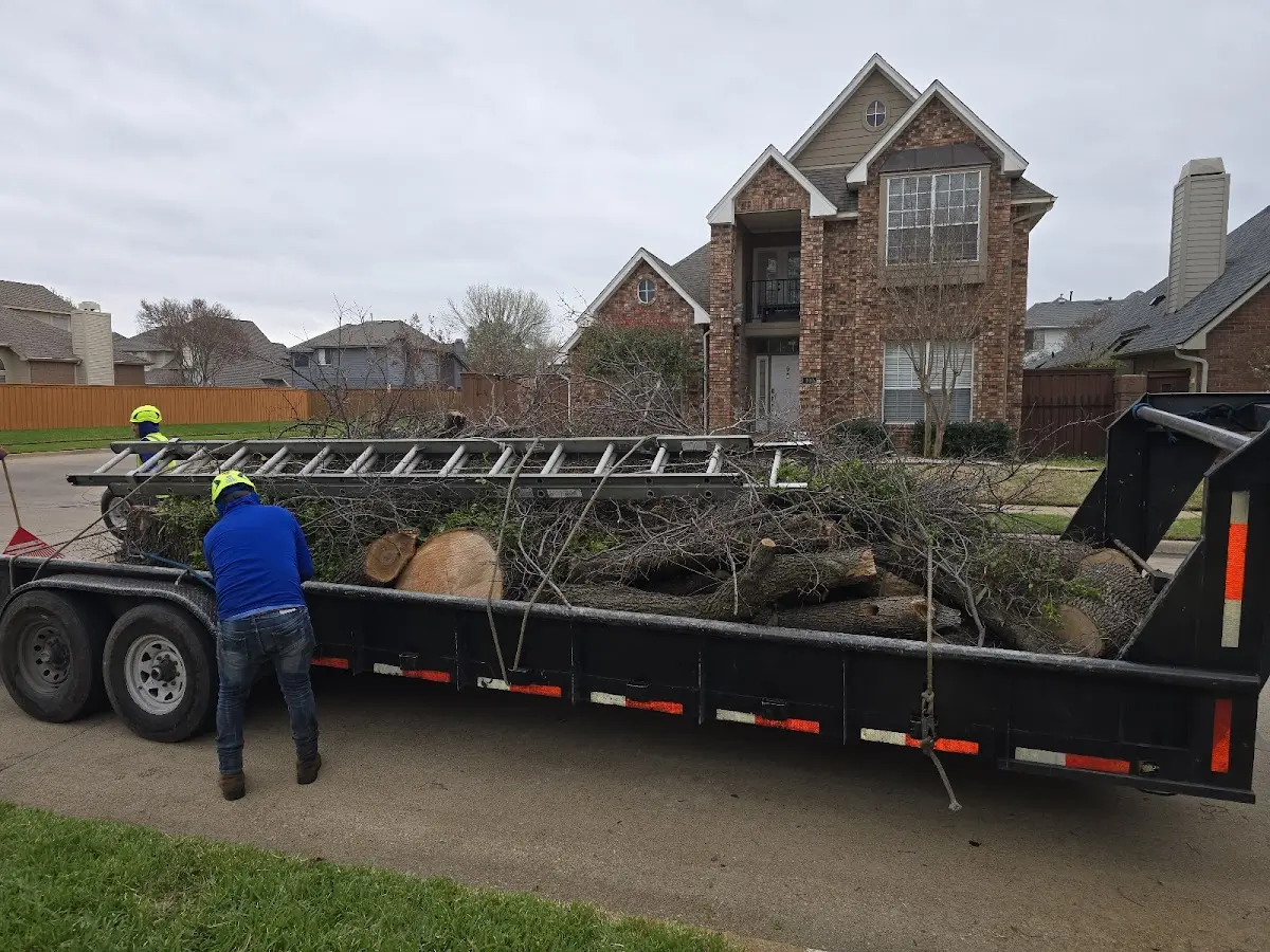 Expert Lot Clearing with proper safety equipment in Valley